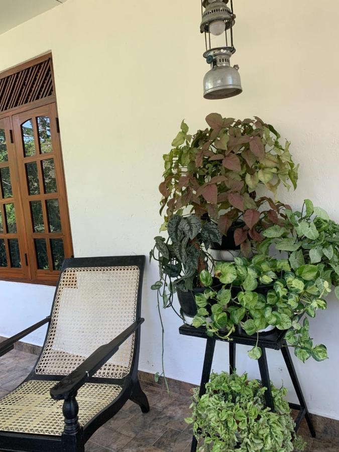 Tranquil Private Villa Near Bentota Beach מראה חיצוני תמונה