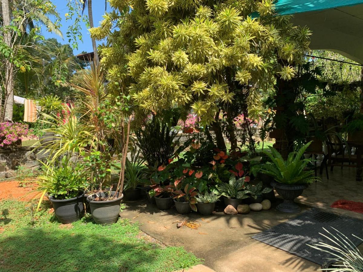Tranquil Private Villa Near Bentota Beach מראה חיצוני תמונה